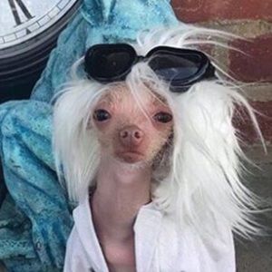 Meet your Posher, Laney